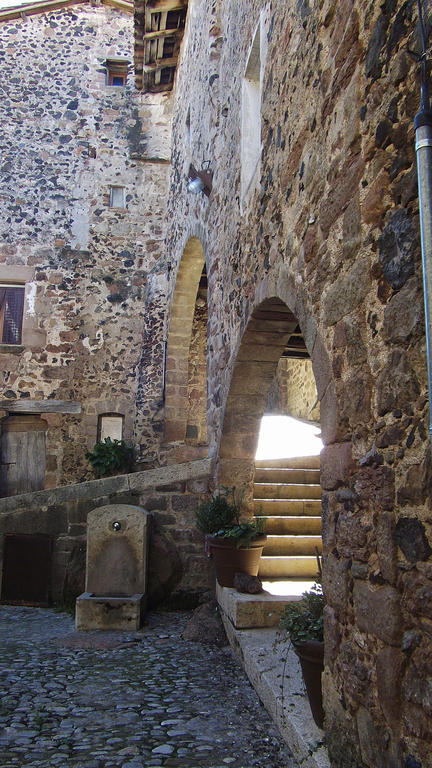 Can Salgueda Santa Pau Cameră foto